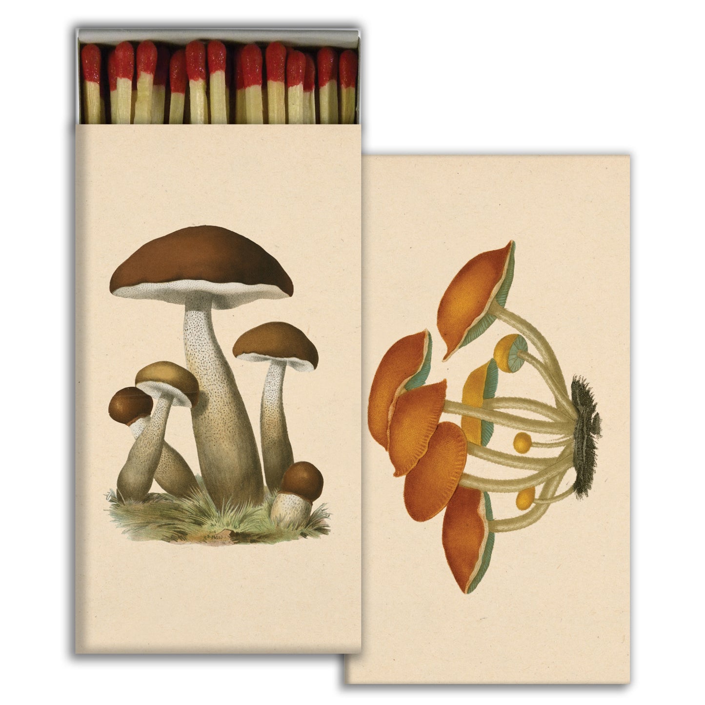 Matches - Mushrooms - Matches by Carlyle Avenue