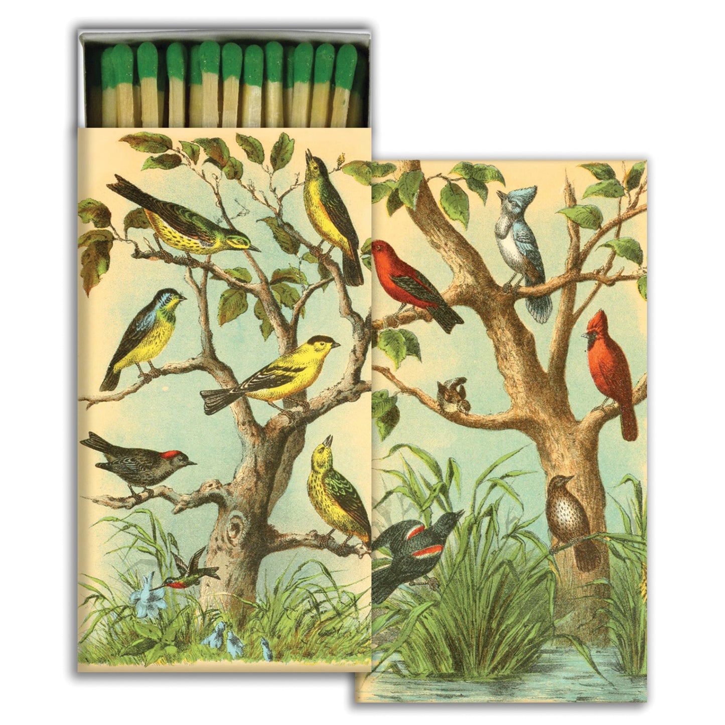 Matches - Bird Studies - Matches by Carlyle Avenue