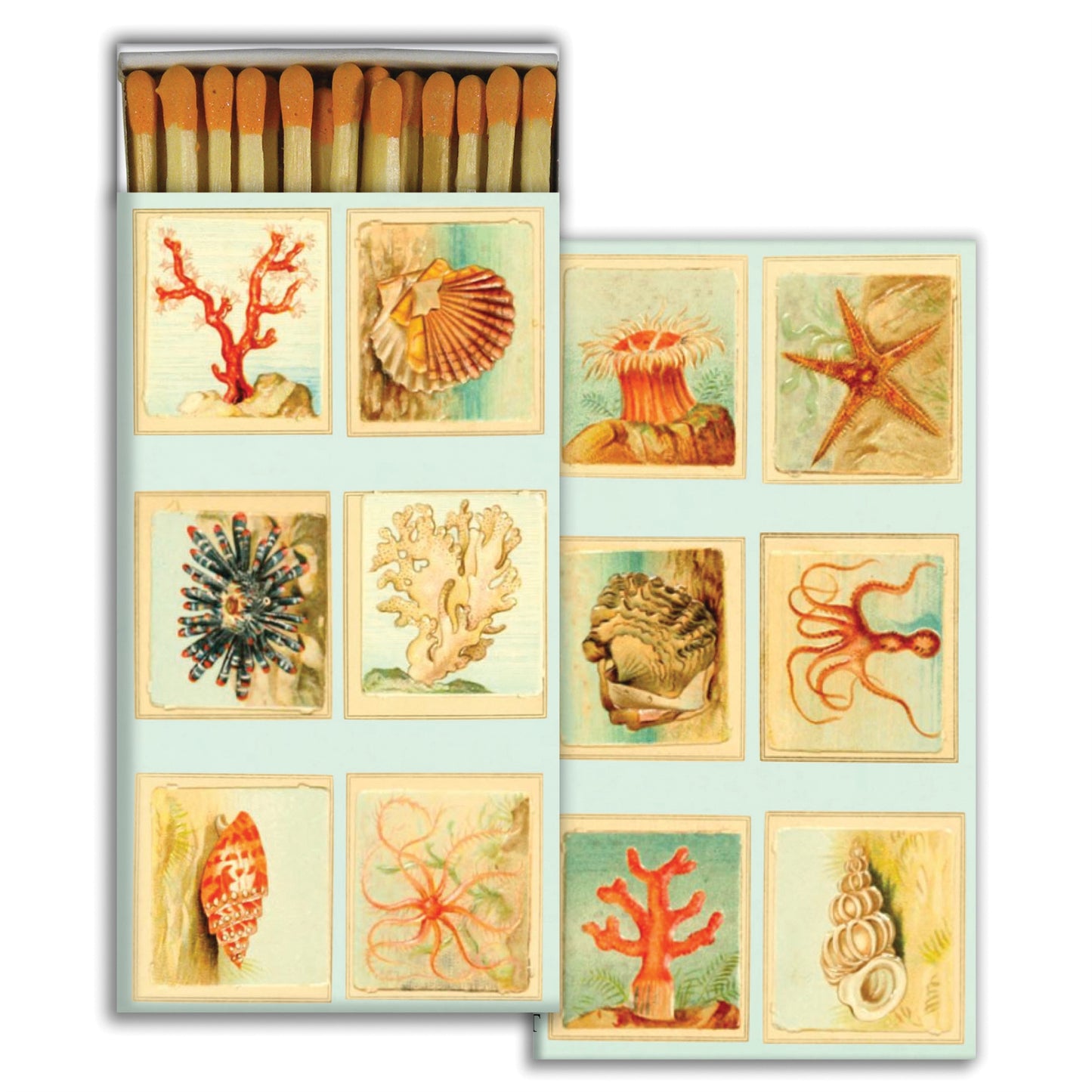Matches - Mollusks, Coral, Seastars - Matches by Carlyle Avenue