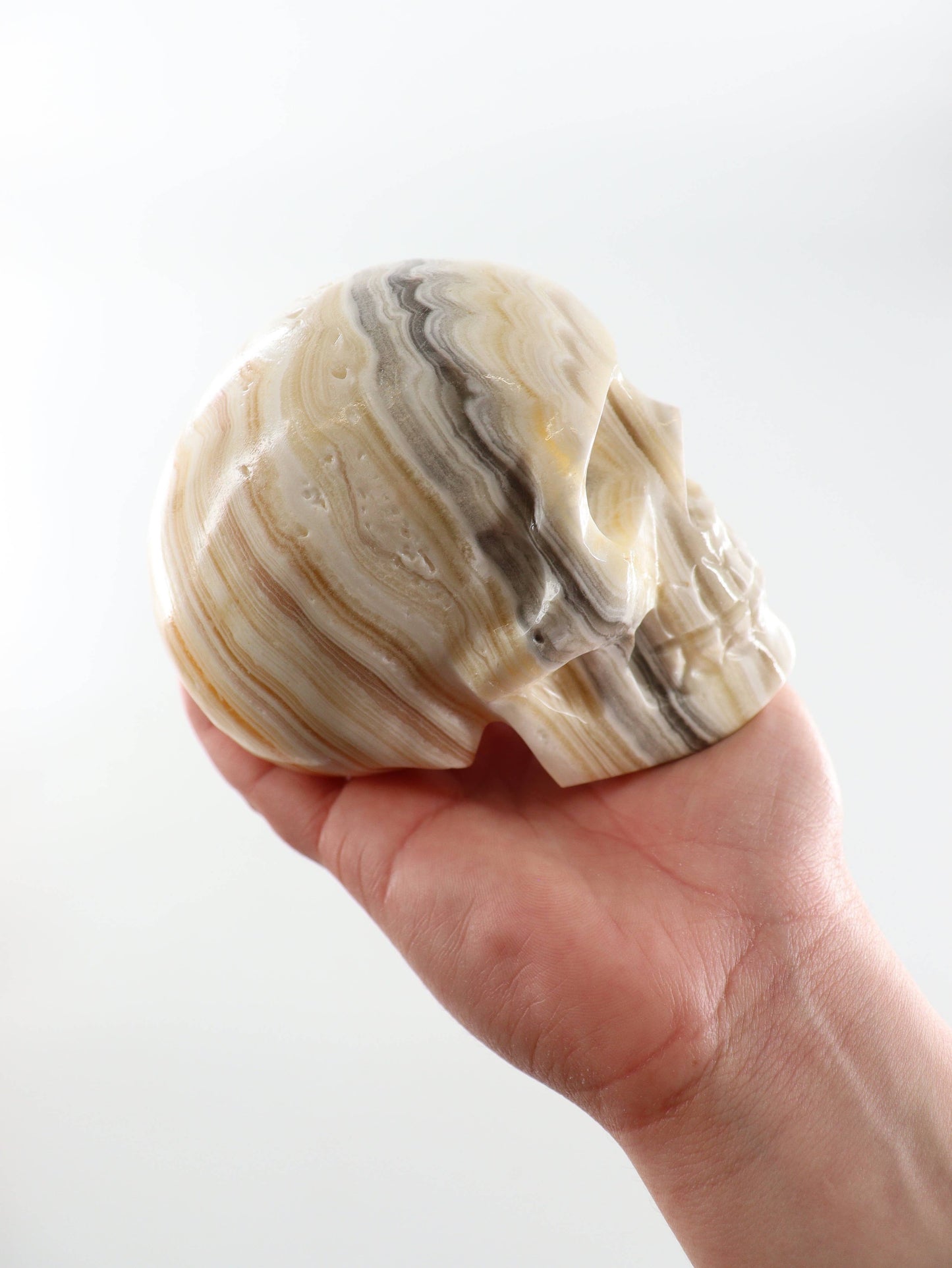 Onyx Skull - by Carlyle Avenue