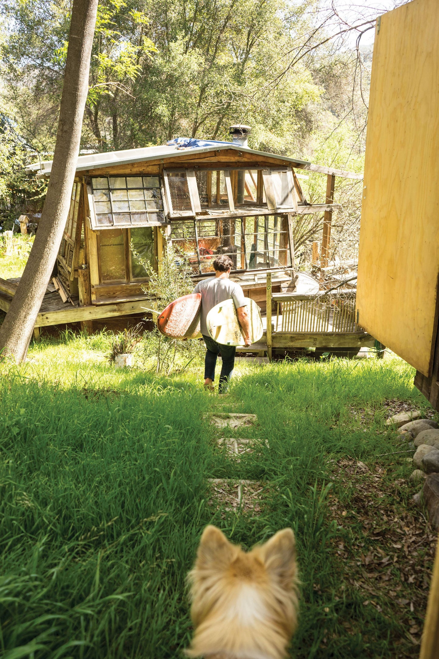 Surf Shacks - by Carlyle Avenue