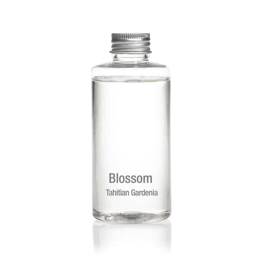 Blossom Porcelain Diffuser & Refills - Diffusers by Carlyle Avenue