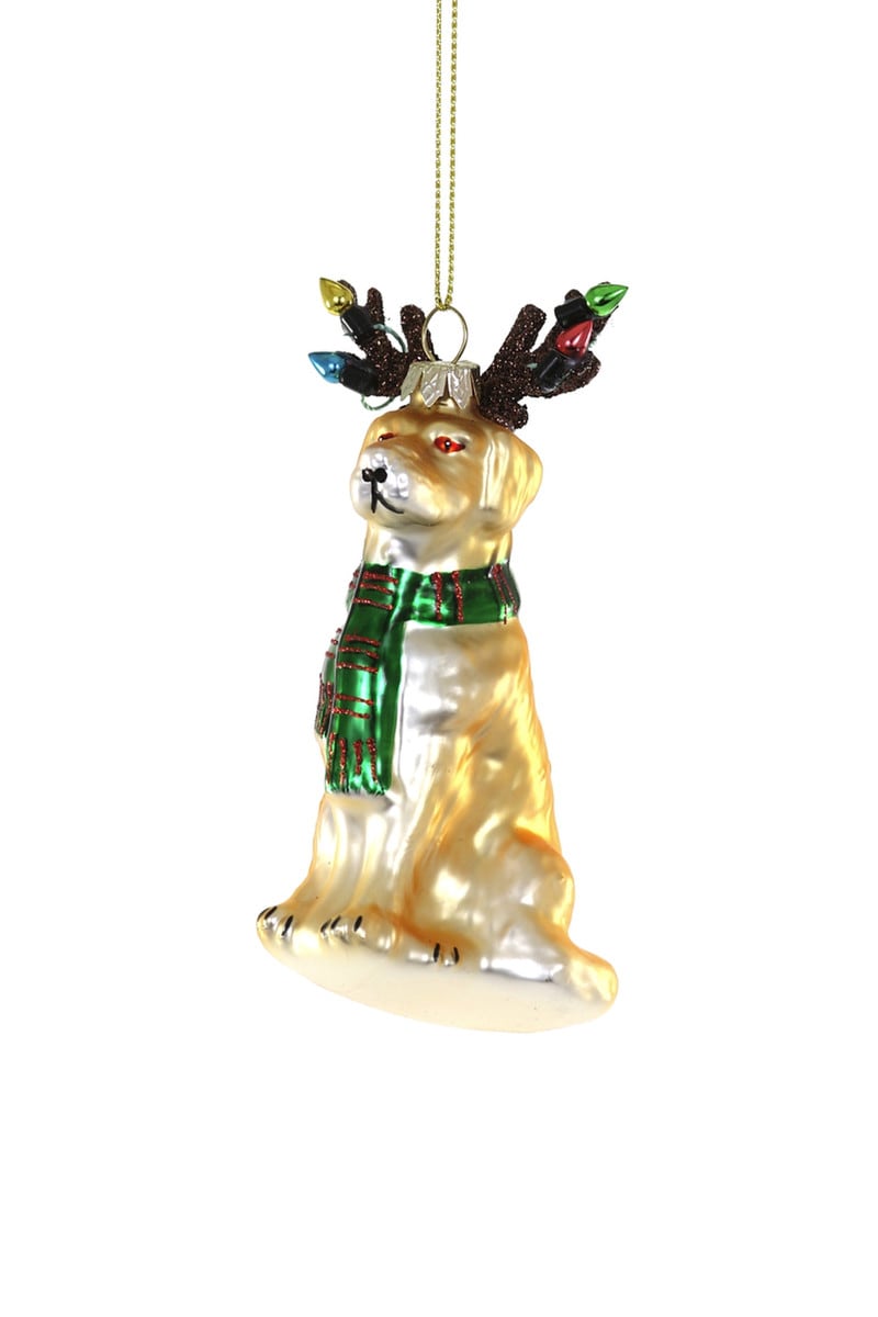 Festive Lab Ornament - Holiday Ornaments by Carlyle Avenue