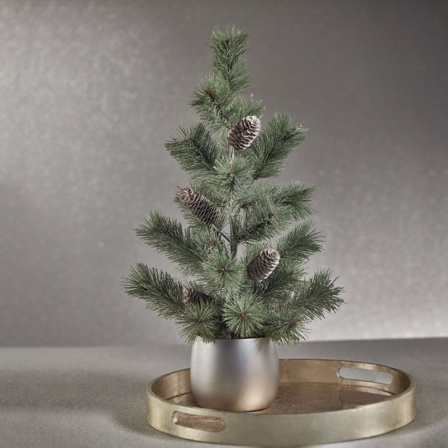 Alpine Fir Tree in Silver Ceramic Pot