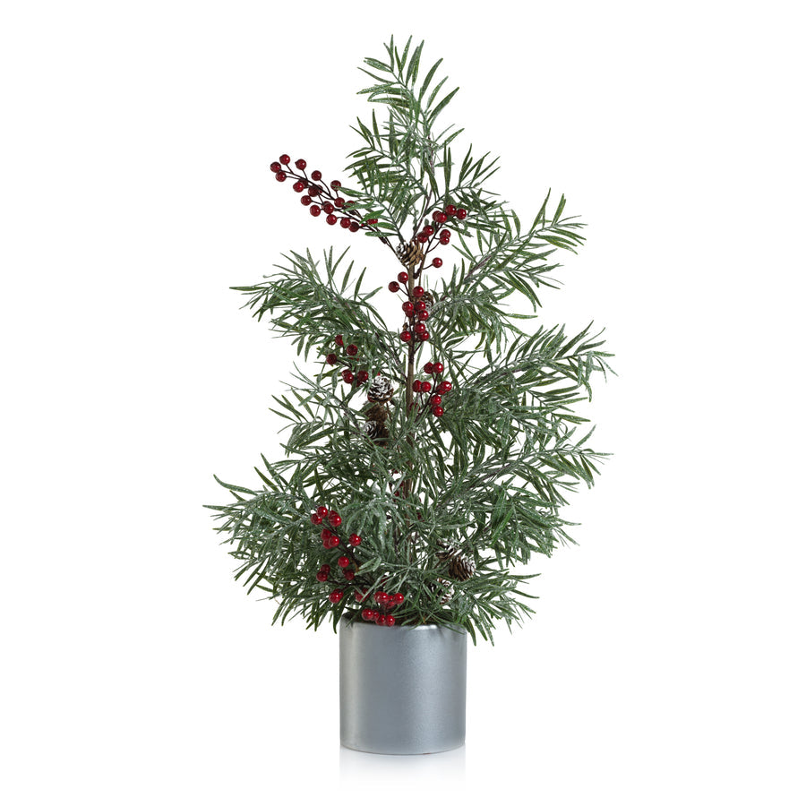 California Pepper Tree in Ceramic Pot - Christmas Decor by Carlyle Avenue