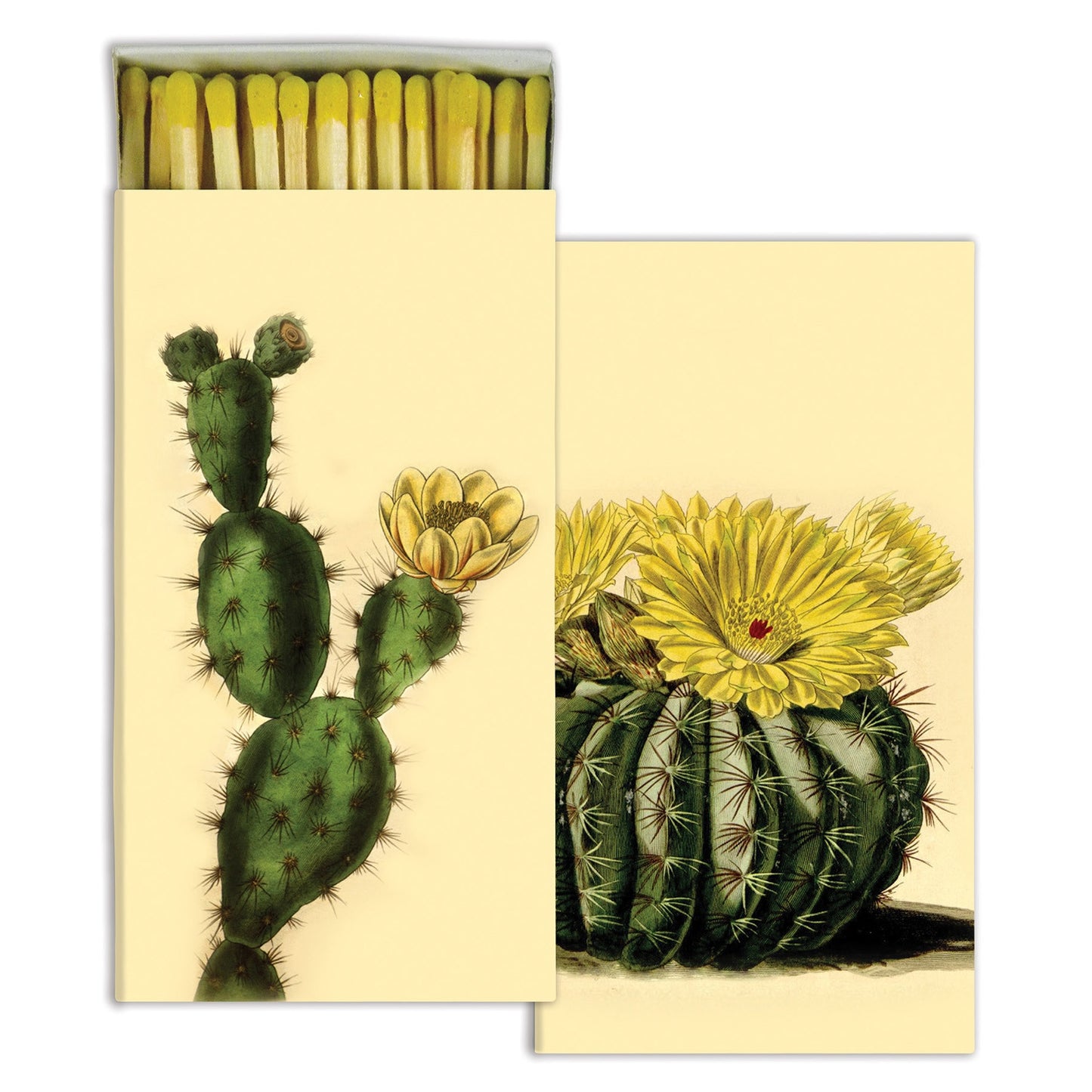Matches - Cacti - Matches by Carlyle Avenue