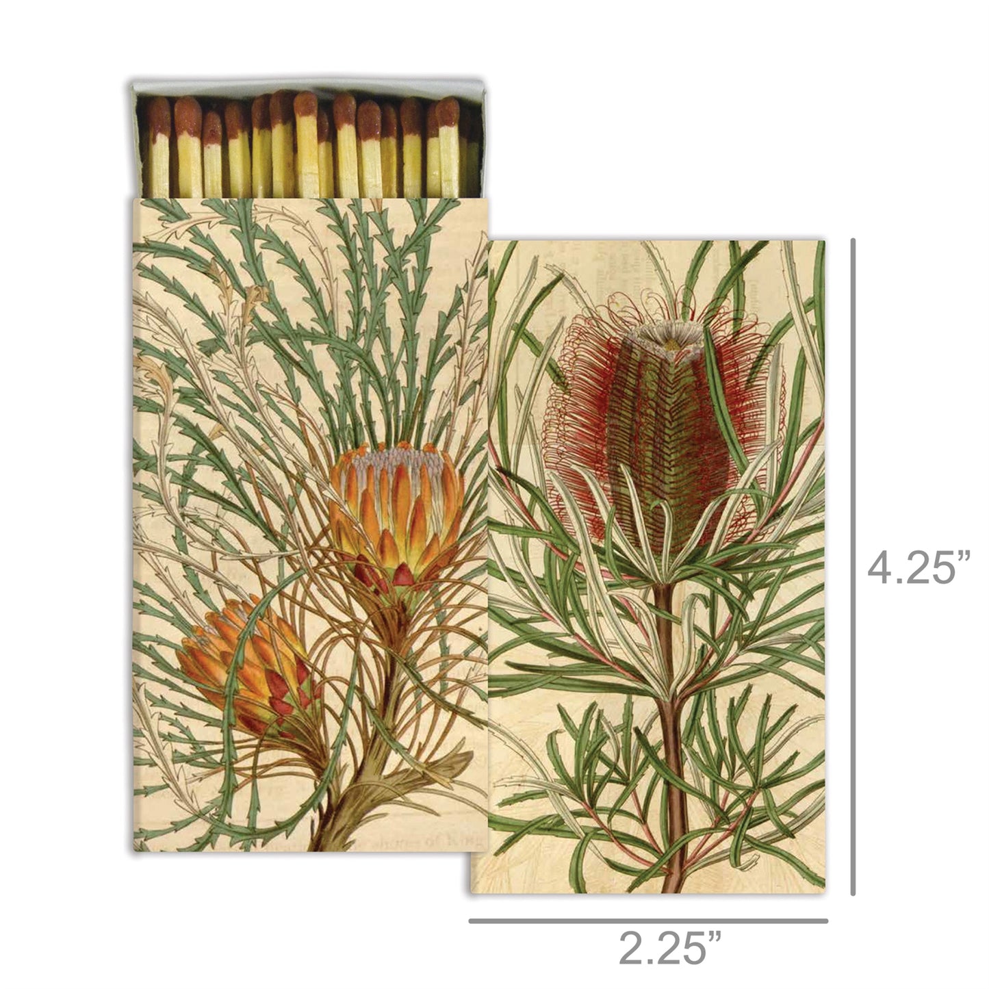 Matches - Protea - Matches by Carlyle Avenue
