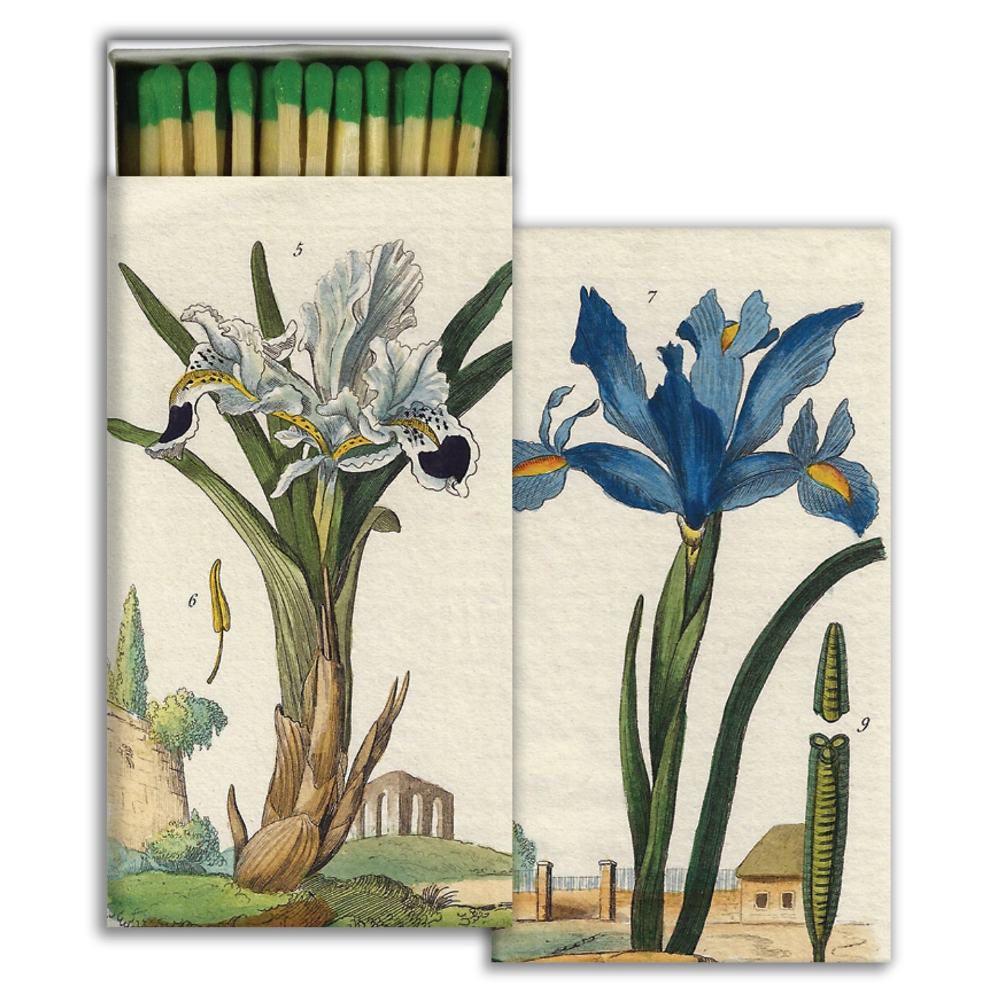 Matches - Iris Flower - Green - Matches by Carlyle Avenue