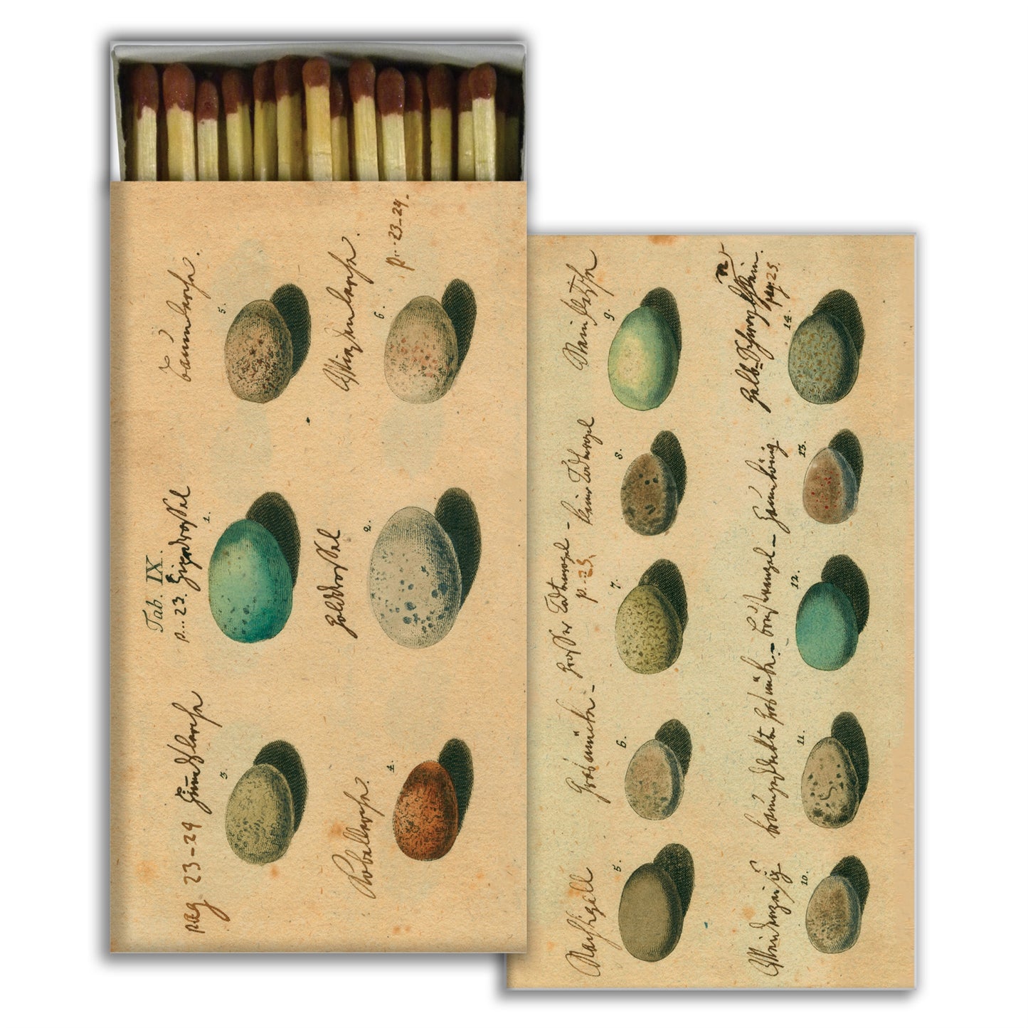 Matches - Eggs - Matches by Carlyle Avenue