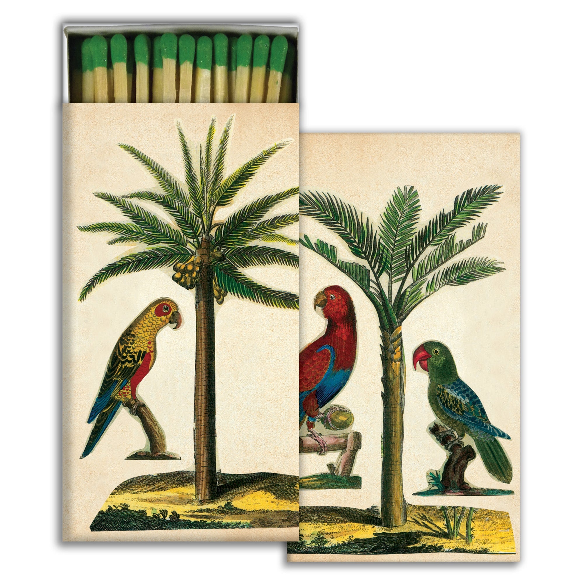 Matches - Palm & Parrot - Green