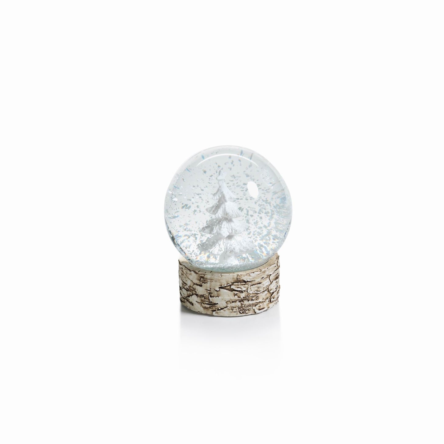Snow Globe on Birch with Tree - Snow Globes by Carlyle Avenue