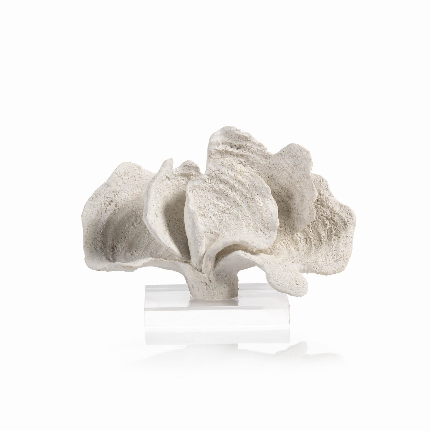 White Coron Coral on Acrylic Base - Decorative Accessories by Carlyle Avenue