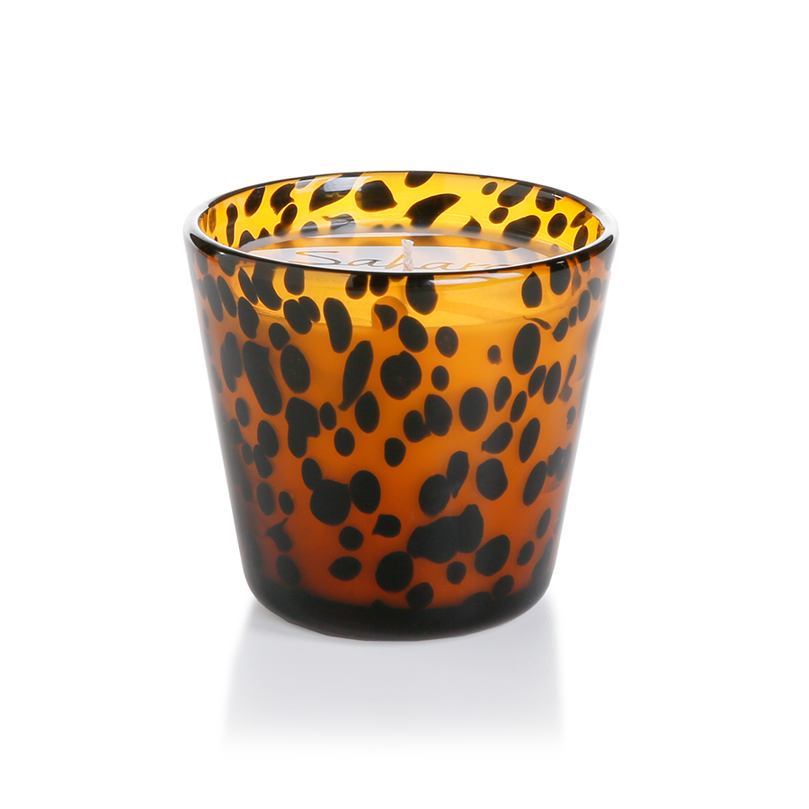 Sahara Tortoise Candle Jar - Candles by Carlyle Avenue