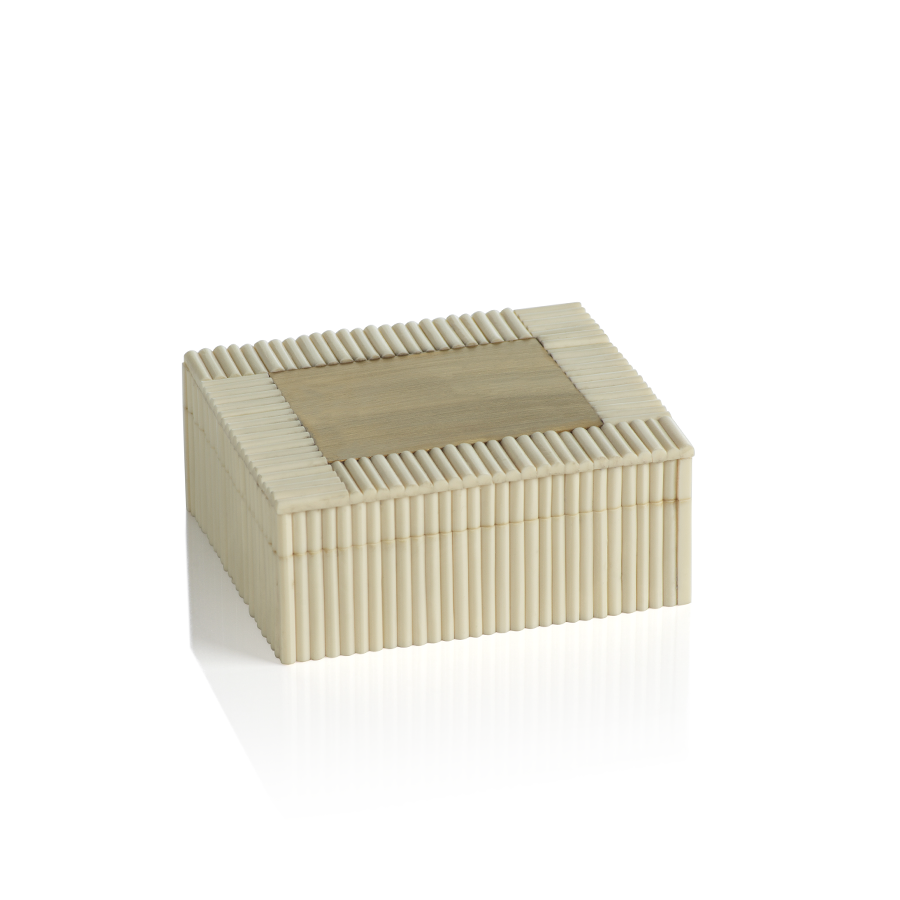 White Bone Chips and Brass Box - Decorative Accessories by Carlyle Avenue