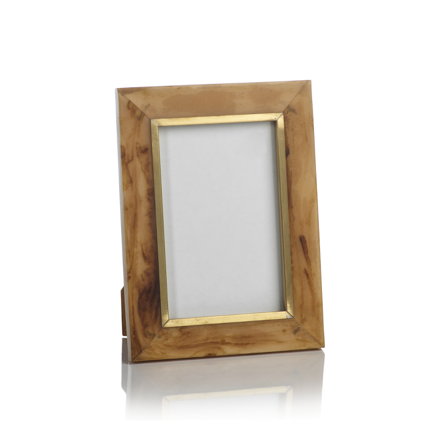 Horn Photo Frame with Brass Accent