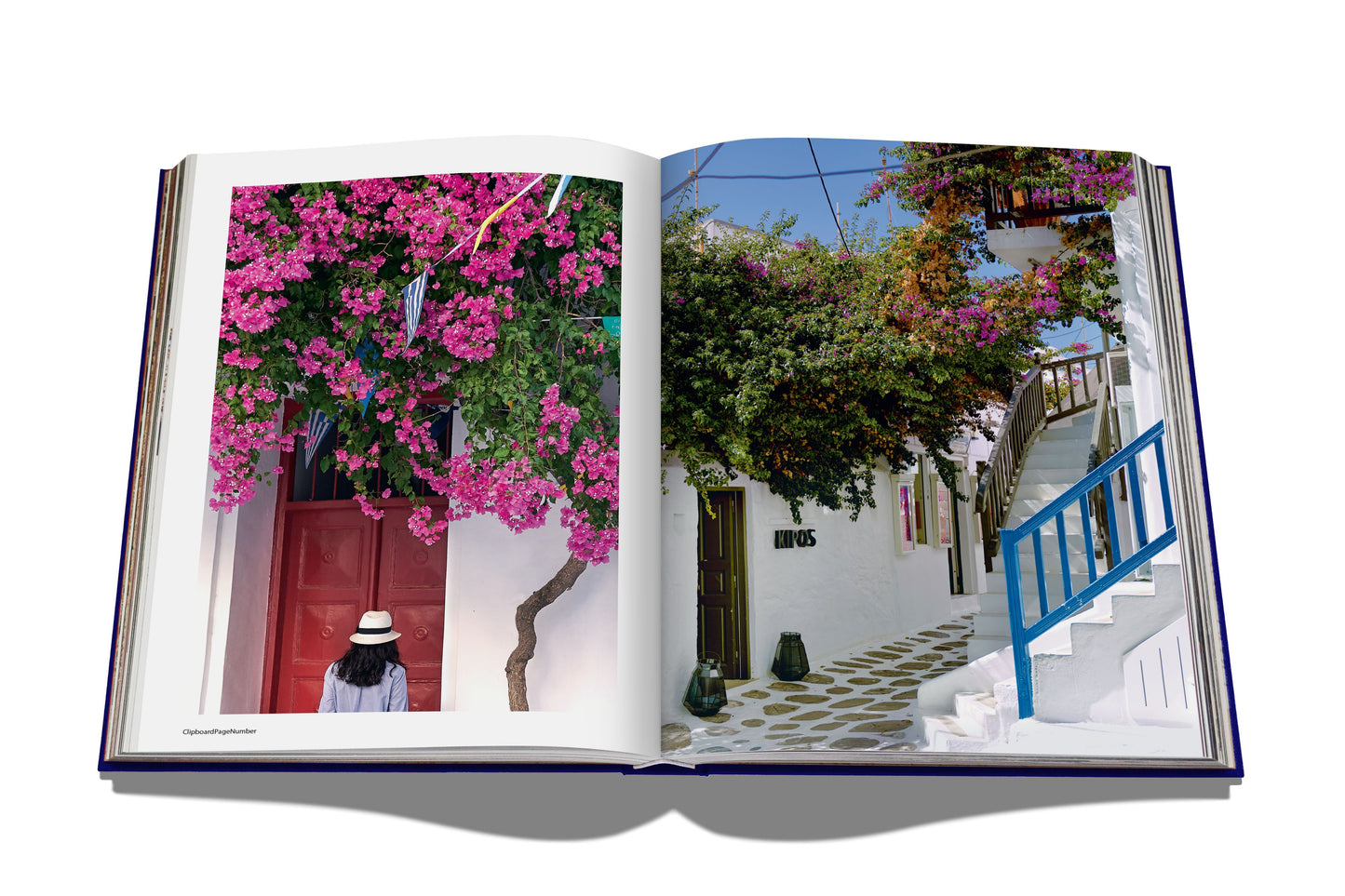 Mykonos Muse - Books by Carlyle Avenue