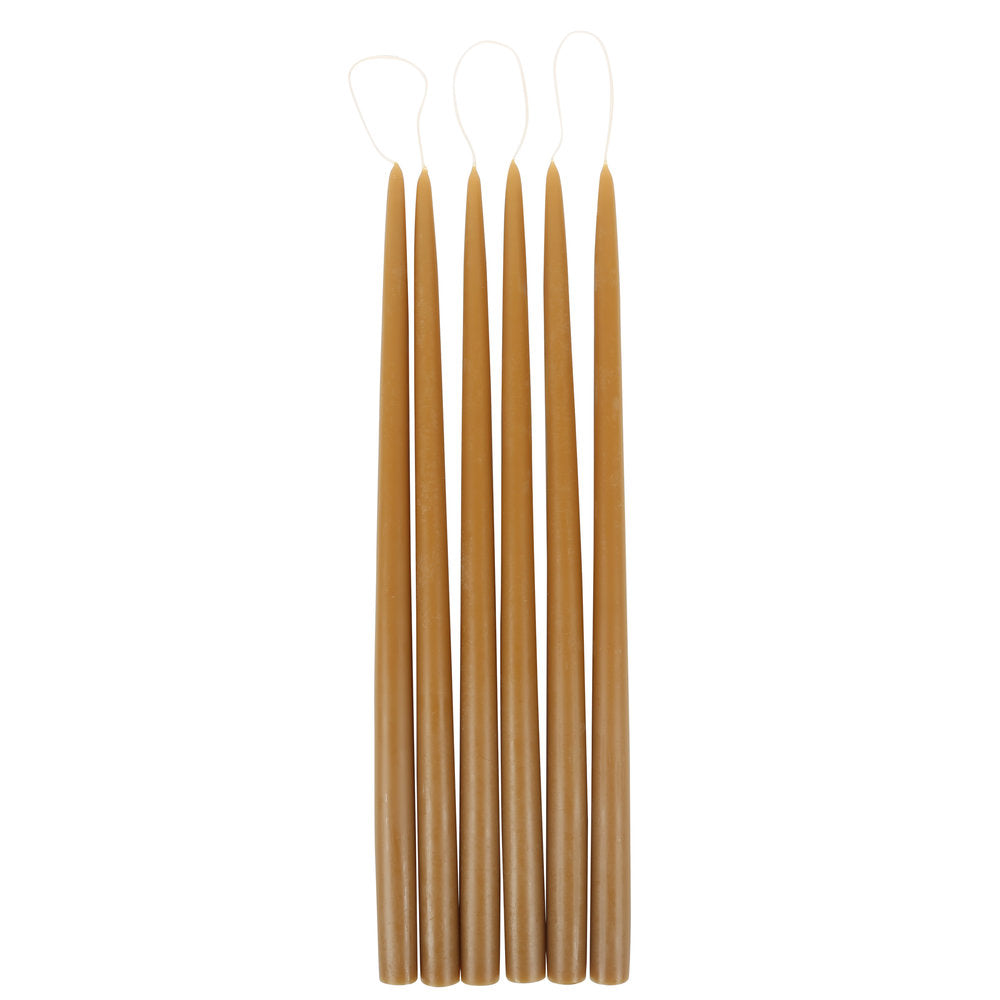 Pair of Taper Candles - Miel - Candles by Carlyle Avenue