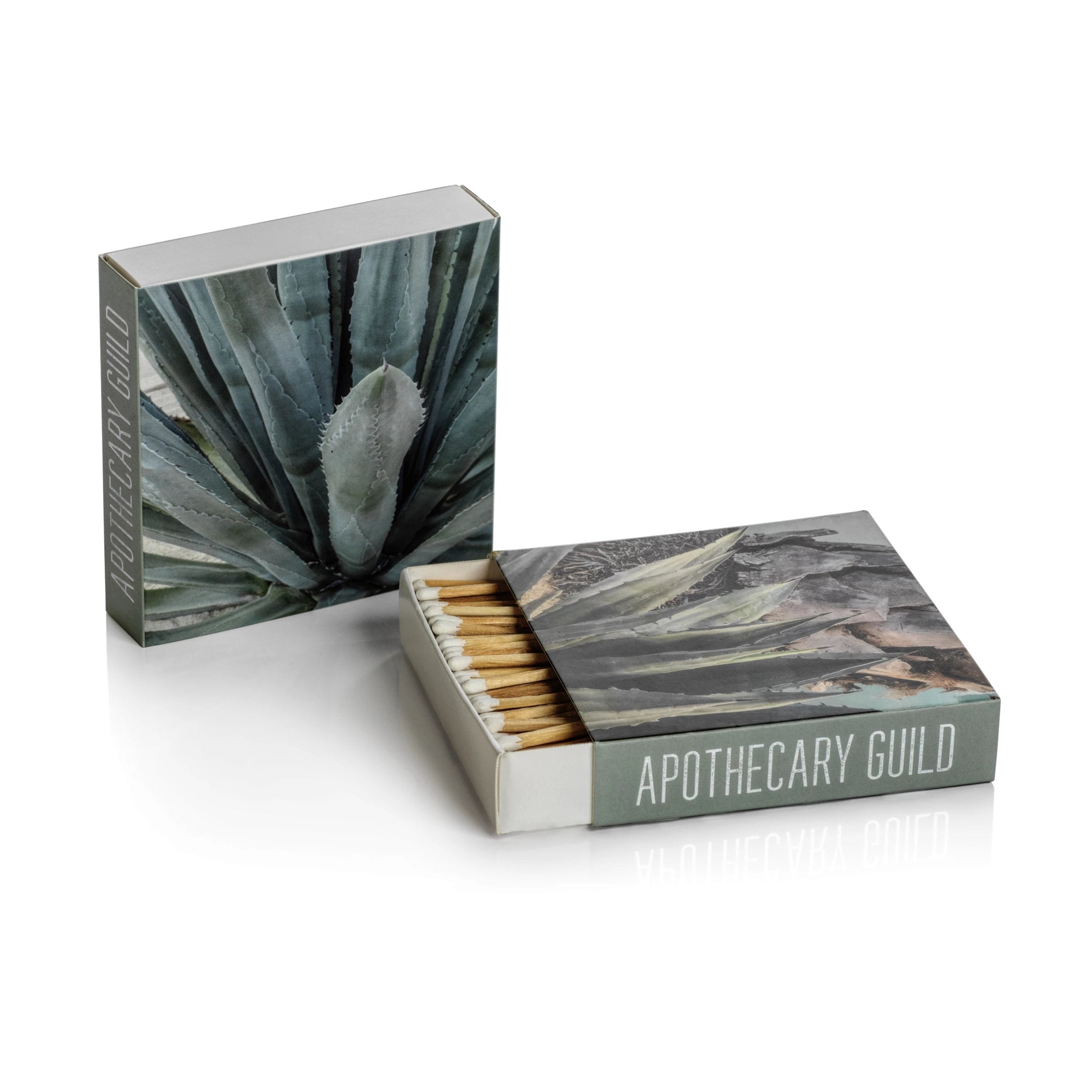 Matches - Agave - CARLYLE AVENUE