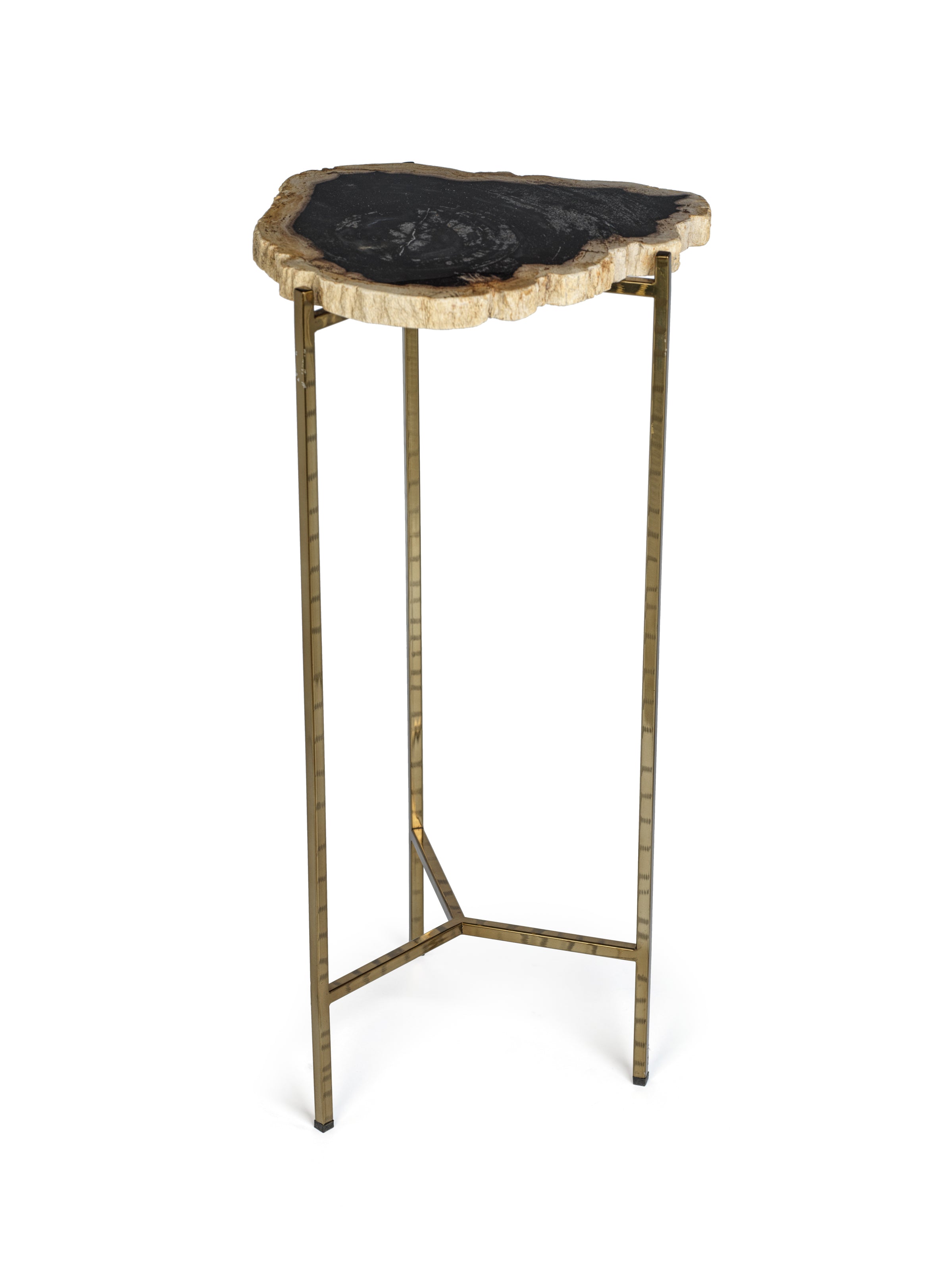 Petrified Wood Side Table - CARLYLE AVENUE