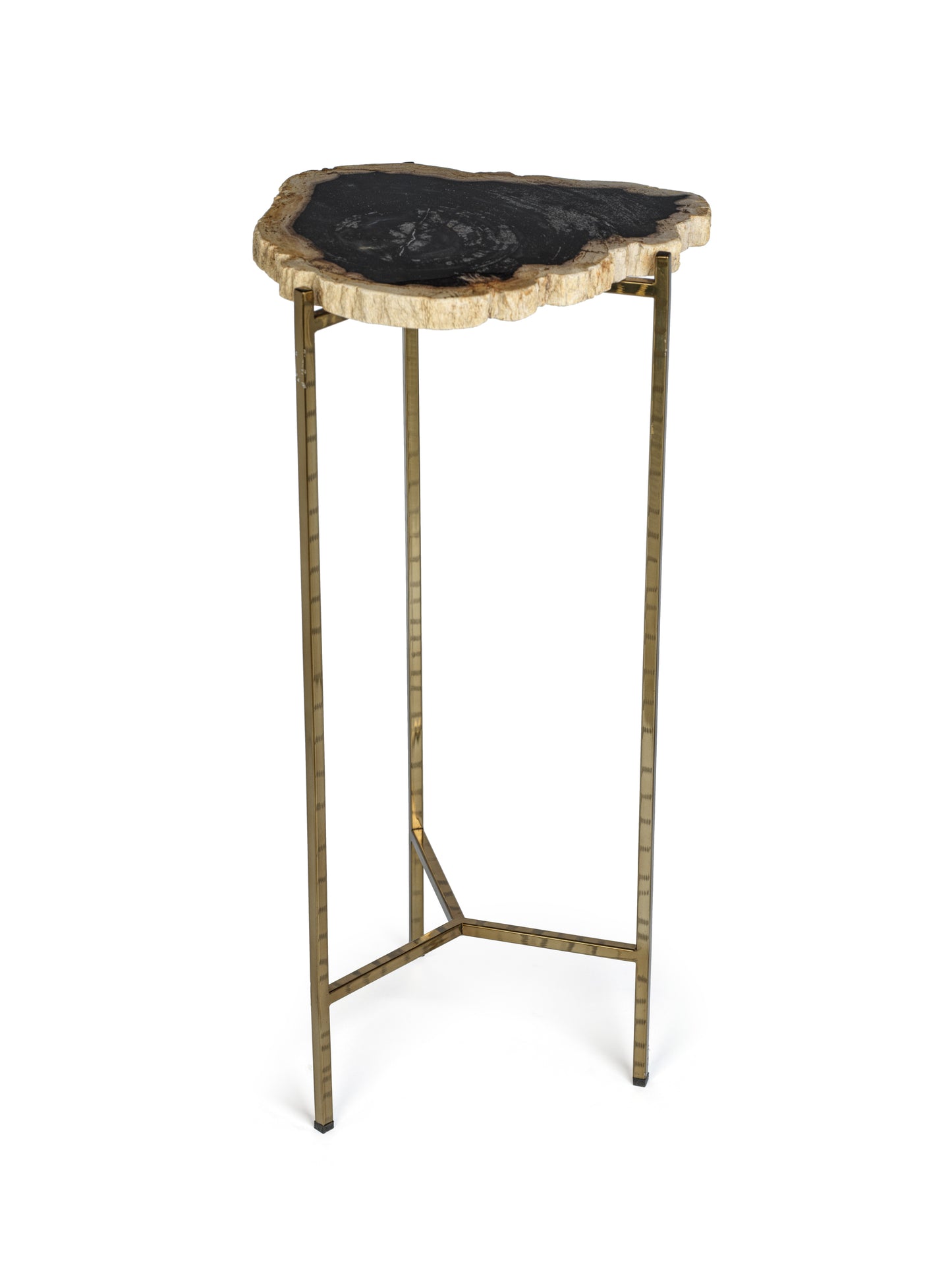 Petrified Wood Side Table - Furniture by Carlyle Avenue