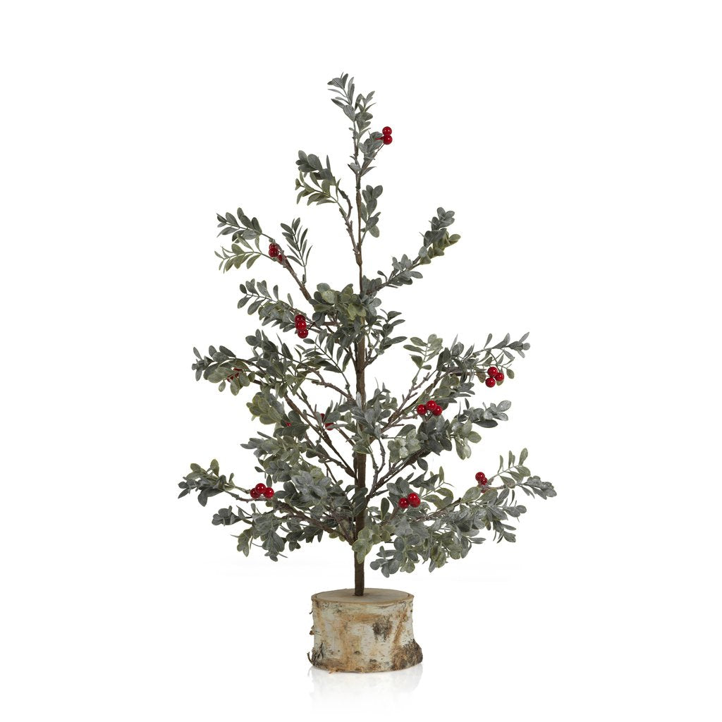 Frosted Mistletoe Tree w/Red Berries on Birch Base - Seasonal & Holiday Decorations by Carlyle Avenue