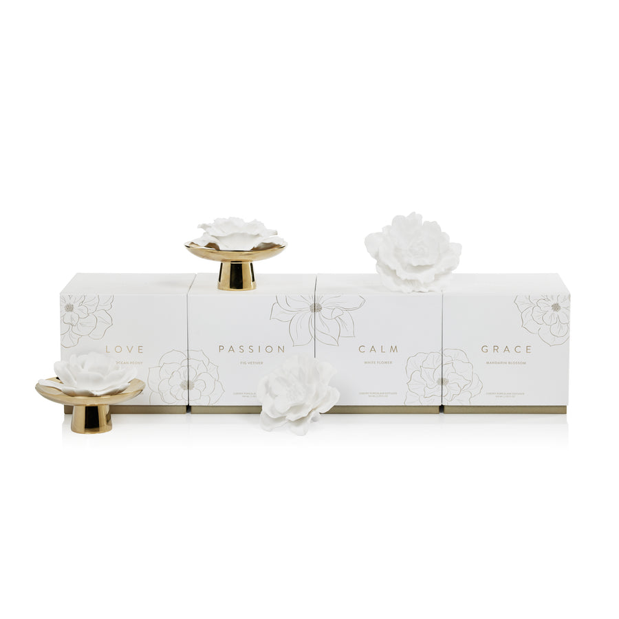 Apothecary Guild Inspire Porcelain Diffuser