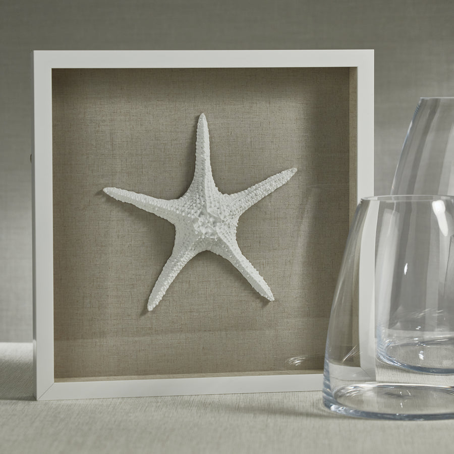 White Framed Starfish