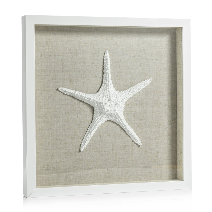White Framed Starfish - Decorative Accessories by Carlyle Avenue