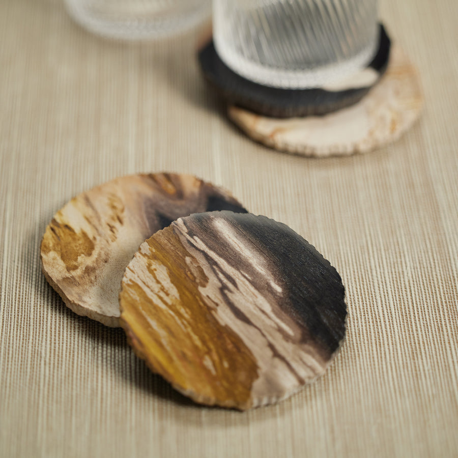 Curio Bay Petrified Wood Coaster - Set of 4
