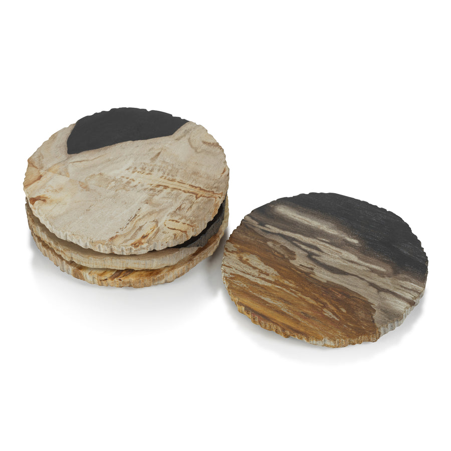 Curio Bay Petrified Wood Coaster - Set of 4 - Coasters by Carlyle Avenue