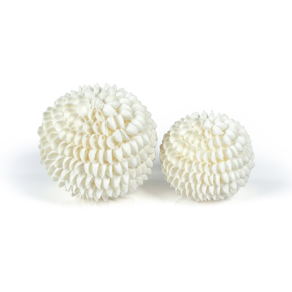 Natural Clamrose Seashell Fill Ball - Decorative Accessories by Carlyle Avenue