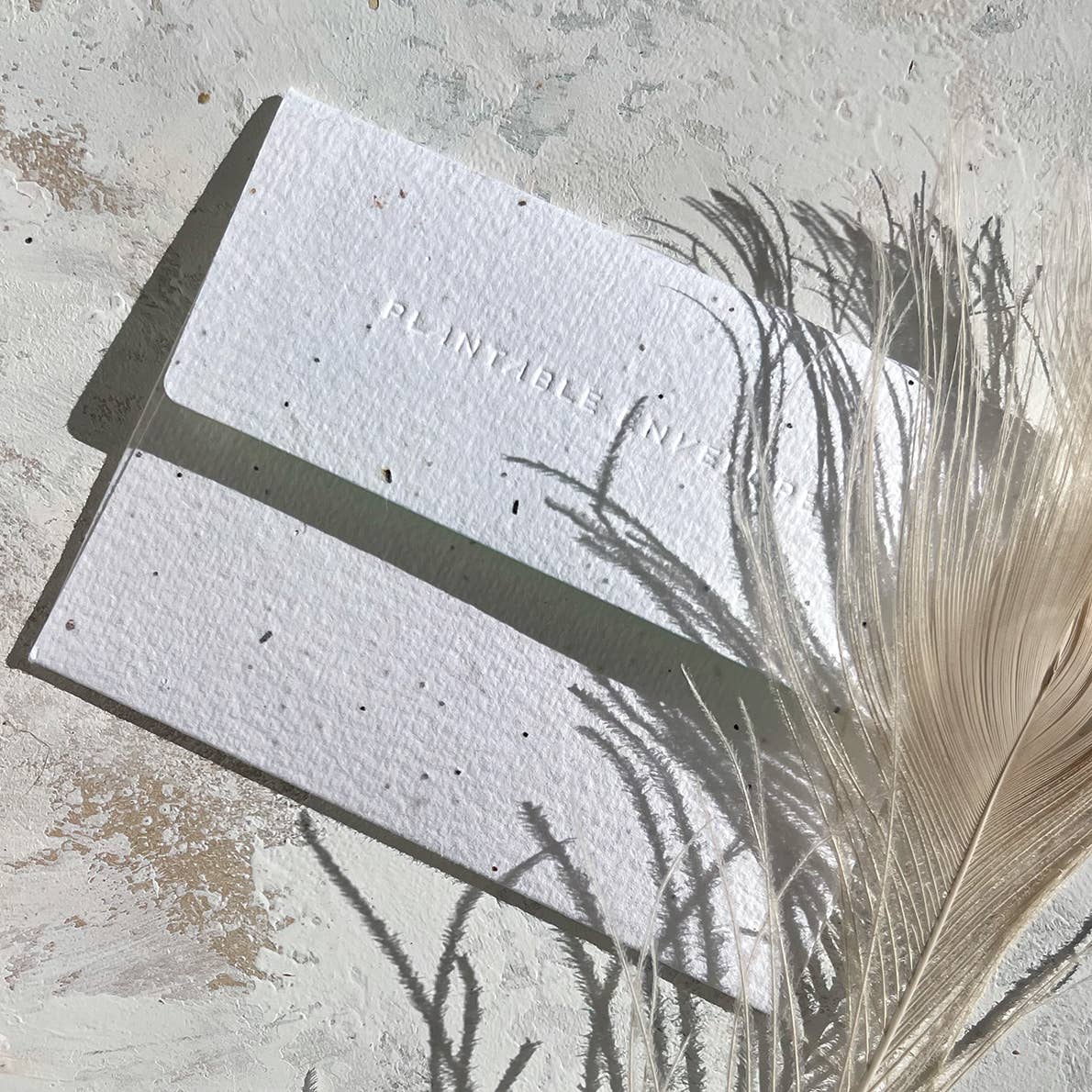 Favorite Person - Anniversary Card