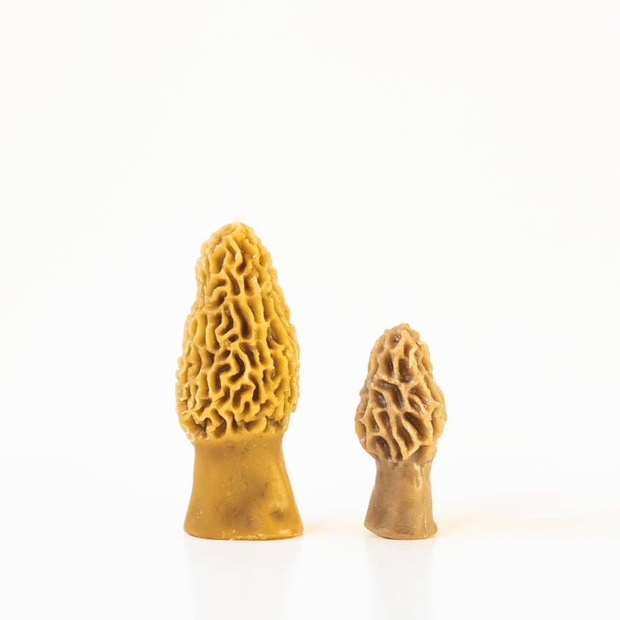 Morel Mushroom Beeswax Candle 2-pack -  by Carlyle Avenue