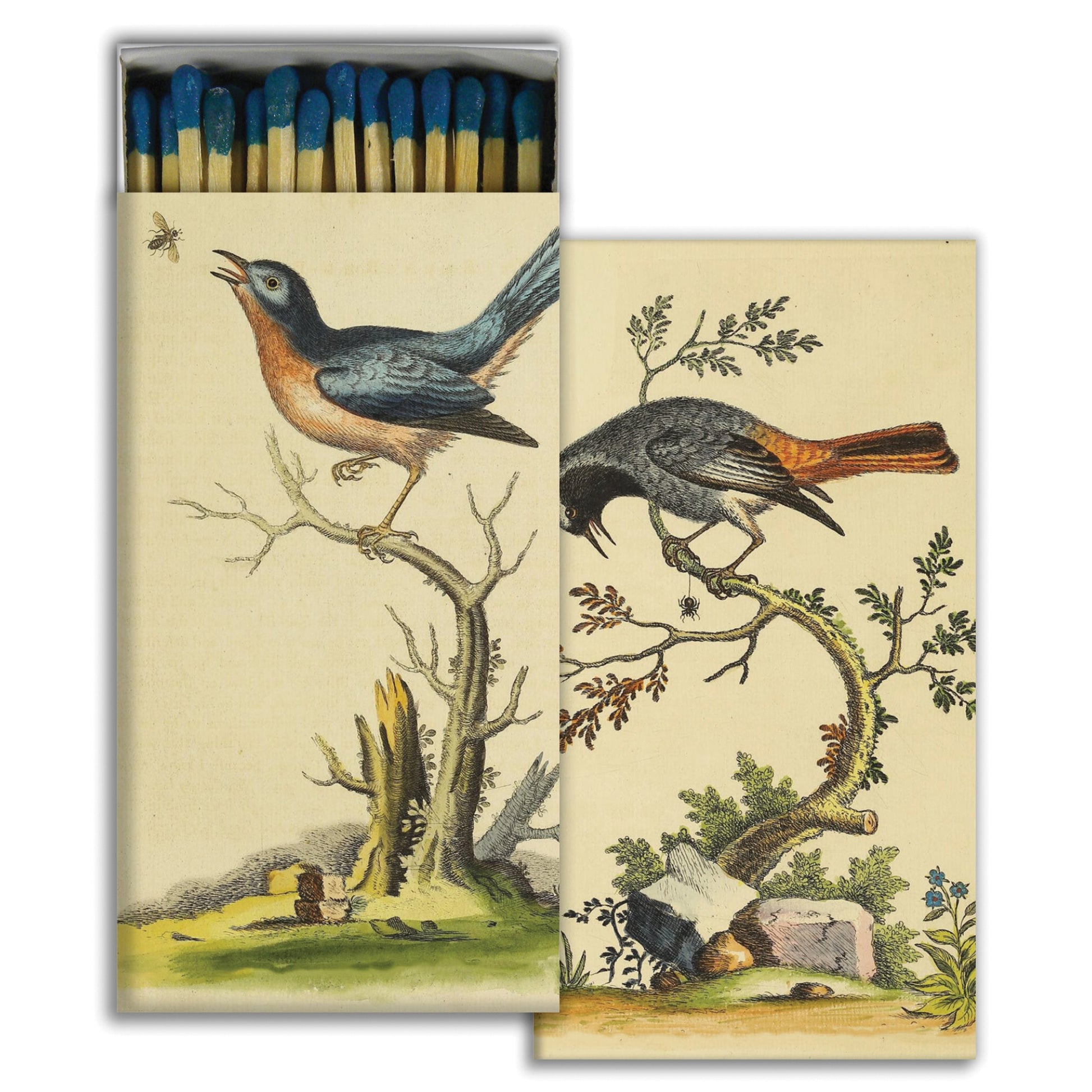 Matches - Warwick Birds - Matches by Carlyle Avenue
