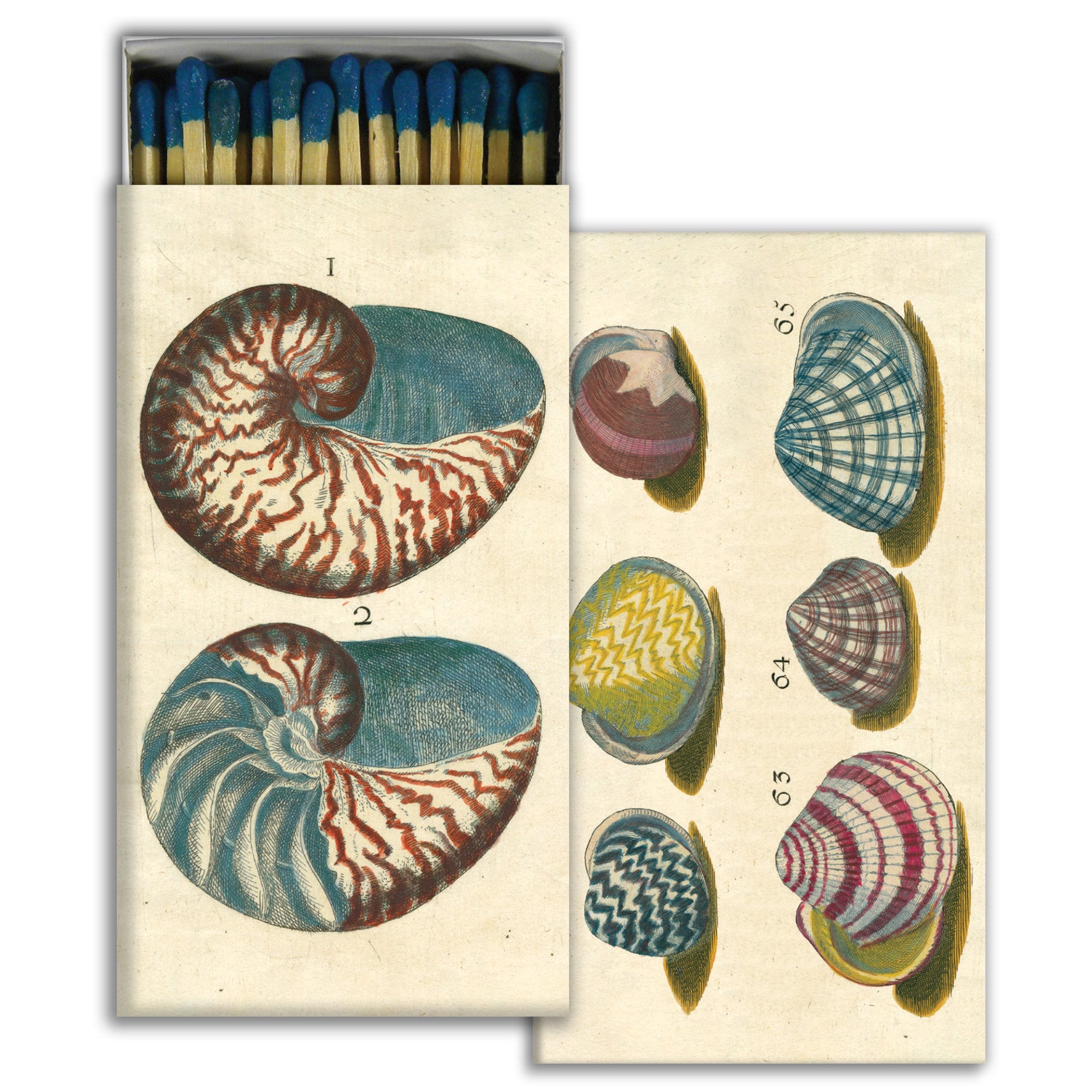 Matches - 18th Century Shells - Matches by Carlyle Avenue