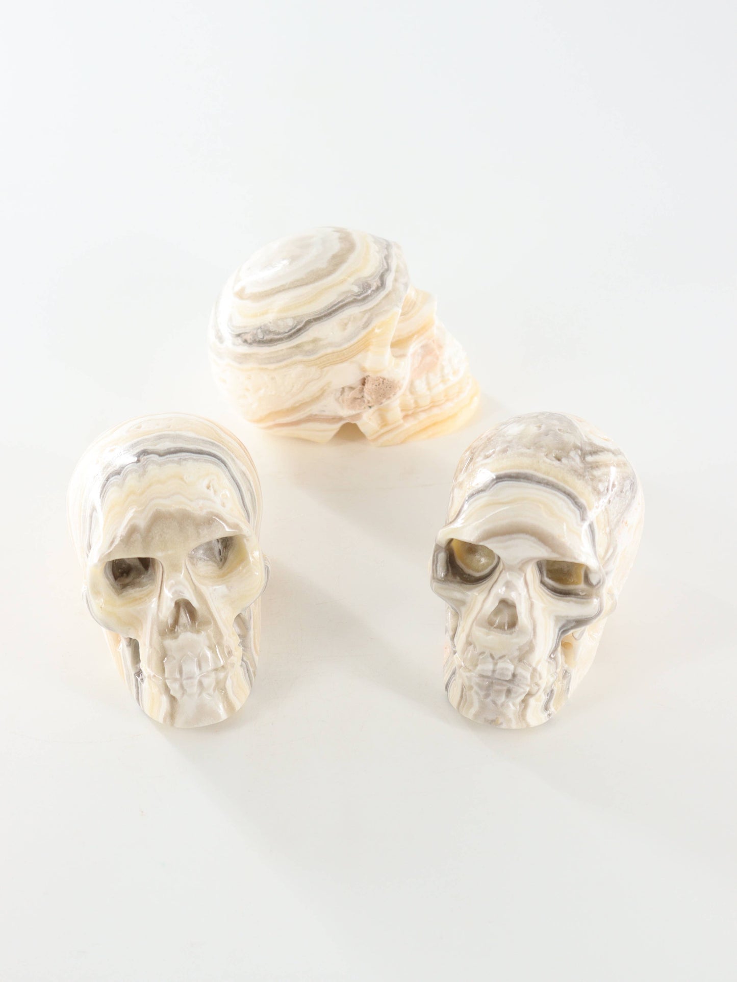 Onyx Skull -  by Carlyle Avenue