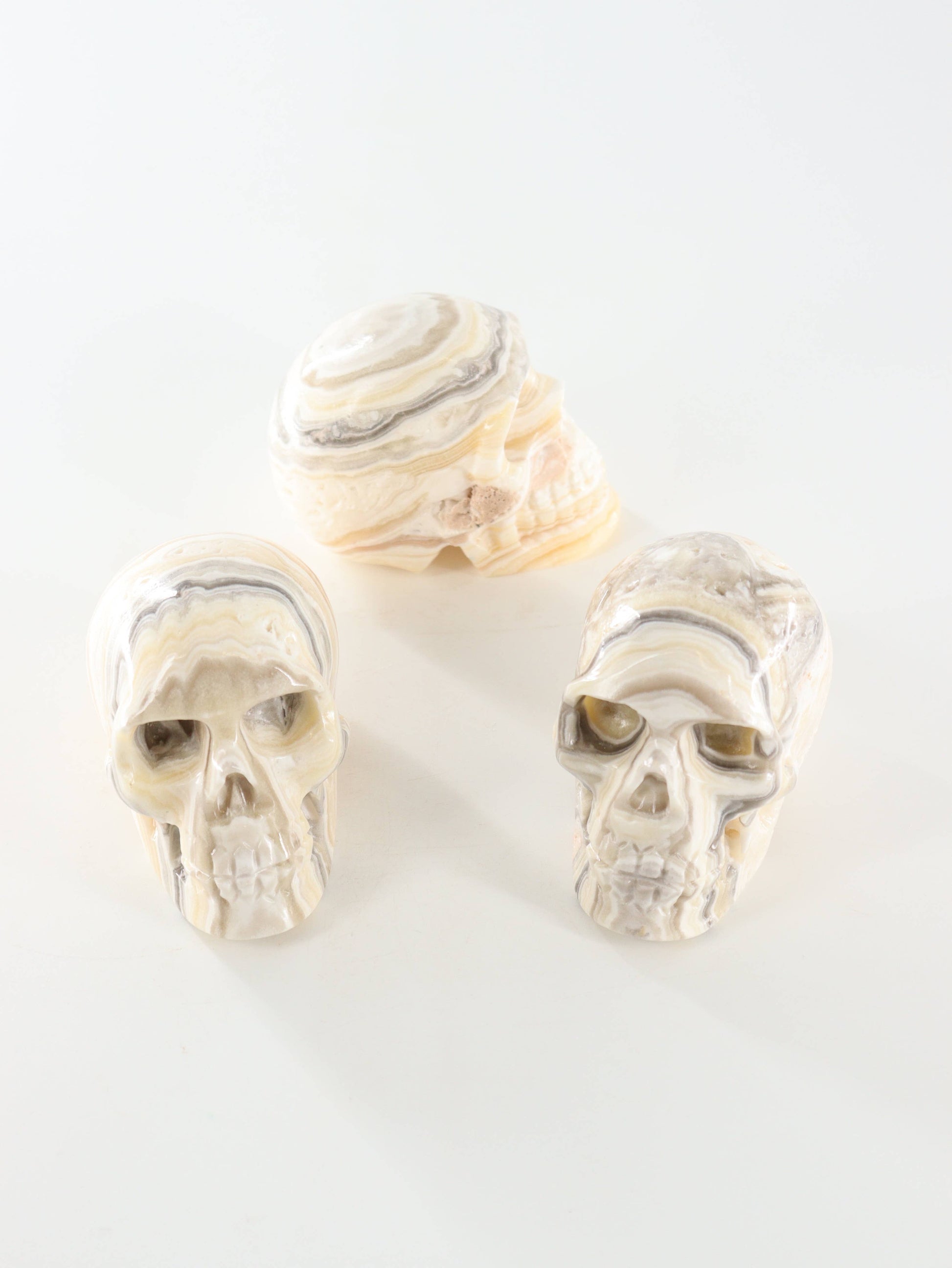 Onyx Skull -  by Carlyle Avenue