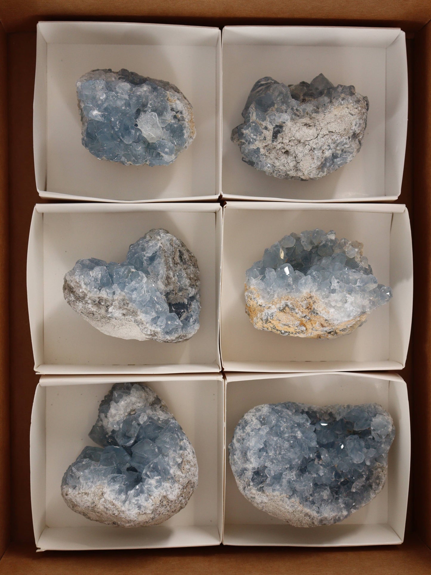 Celestite Clusters