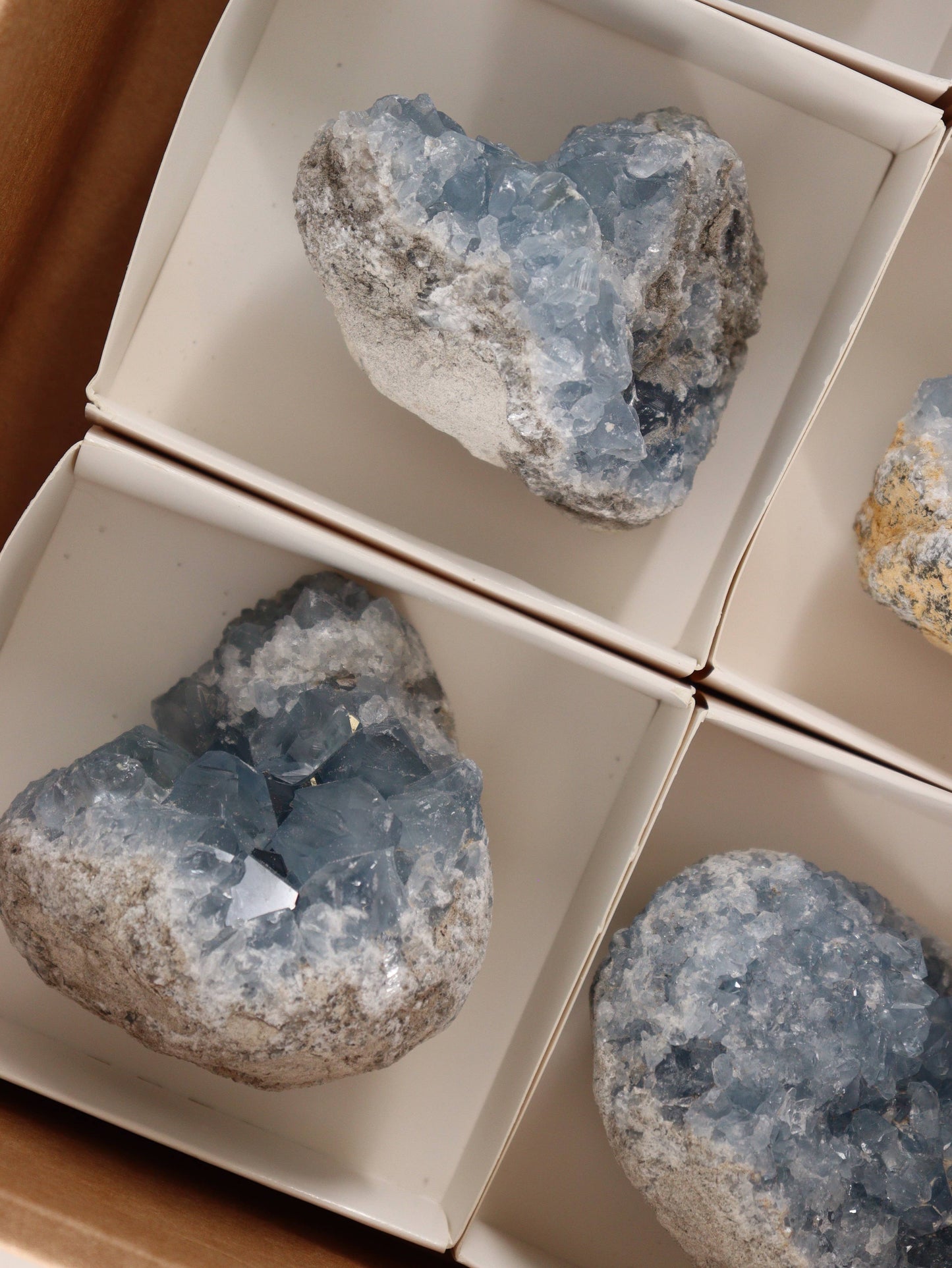 Celestite Clusters
