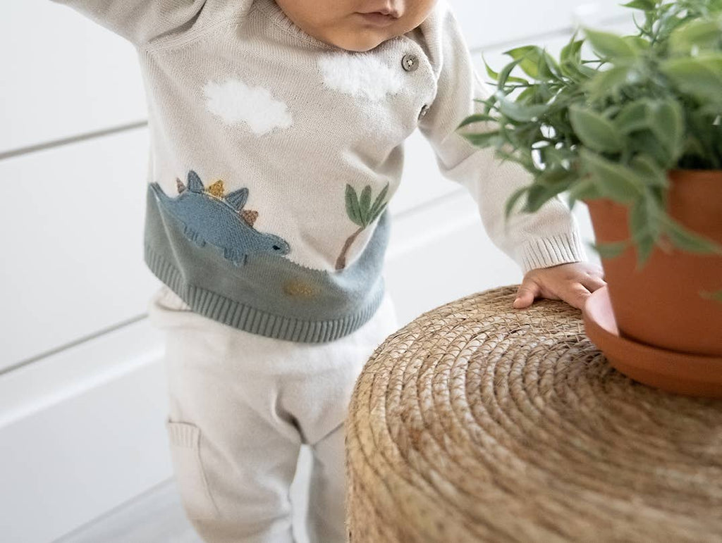 Dino Applique Button Baby Pullover Sweater (Organic) - Kids Clothing by Carlyle Avenue