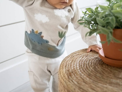 Dino Applique Button Baby Pullover Sweater (Organic) - Kids Clothing by Carlyle Avenue