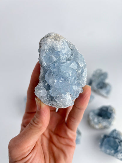 Blue Celestite Crystal Geodes - Large - Decorative Accessories by Carlyle Avenue