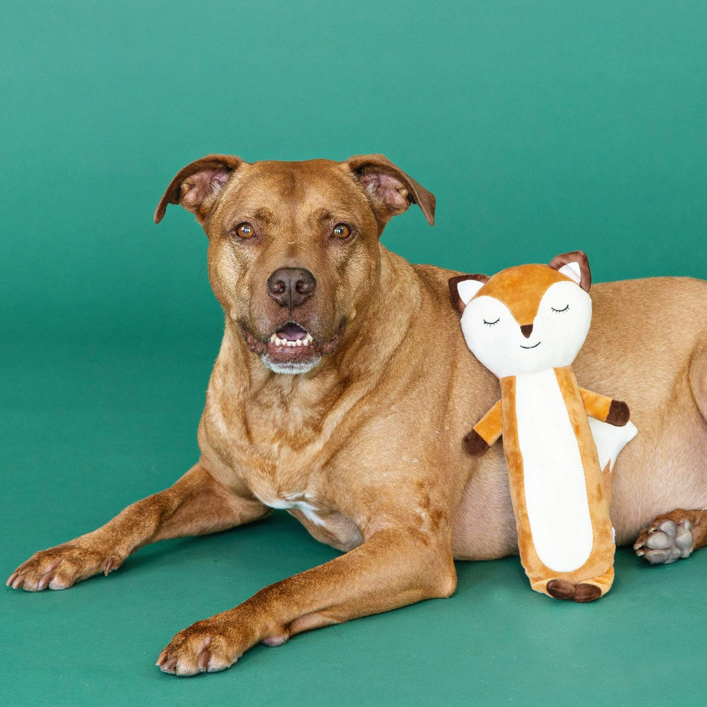 For Fox Sake Plush Dog Toy - Pet Supplies by Carlyle Avenue