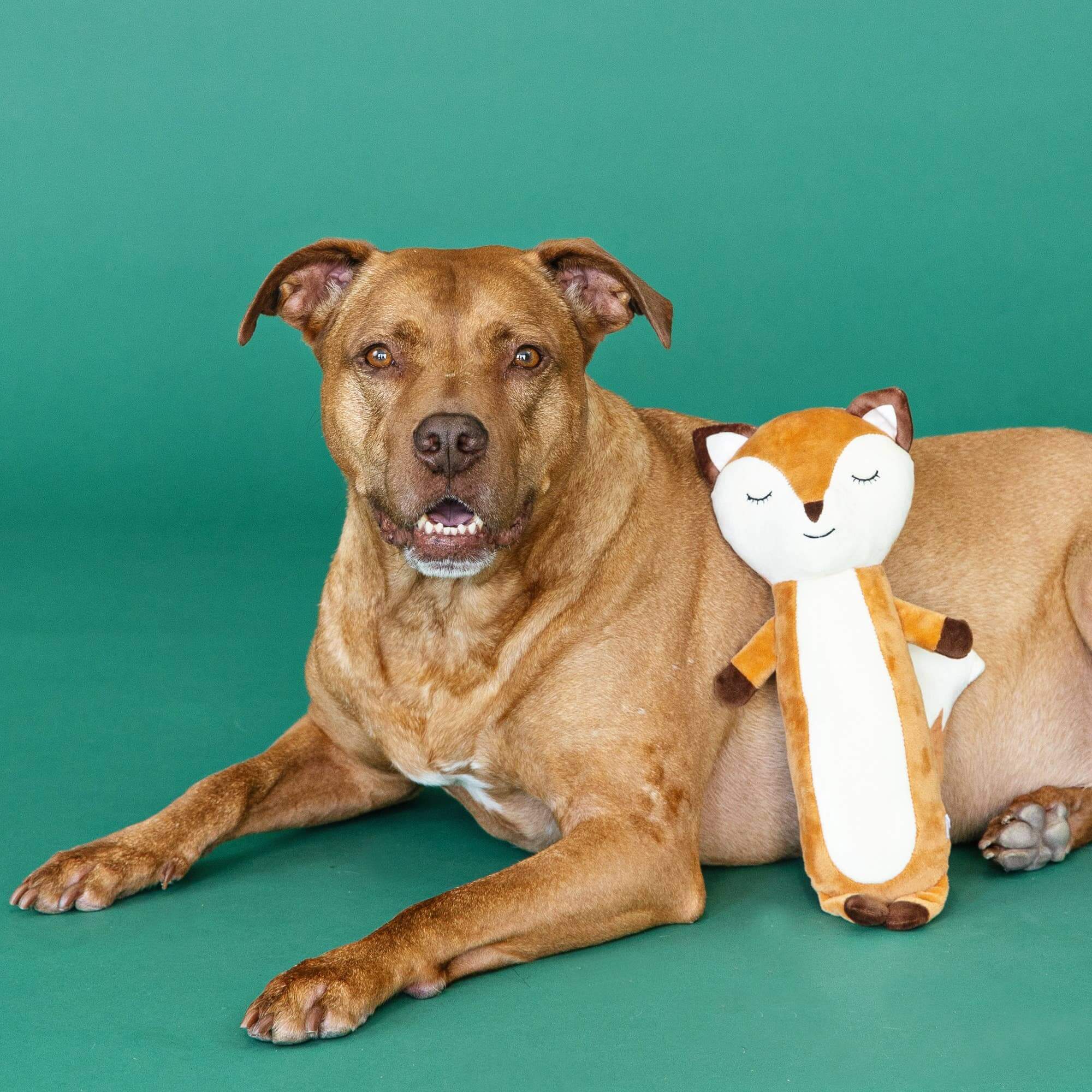 For Fox Sake Plush Dog Toy - Pet Supplies by Carlyle Avenue