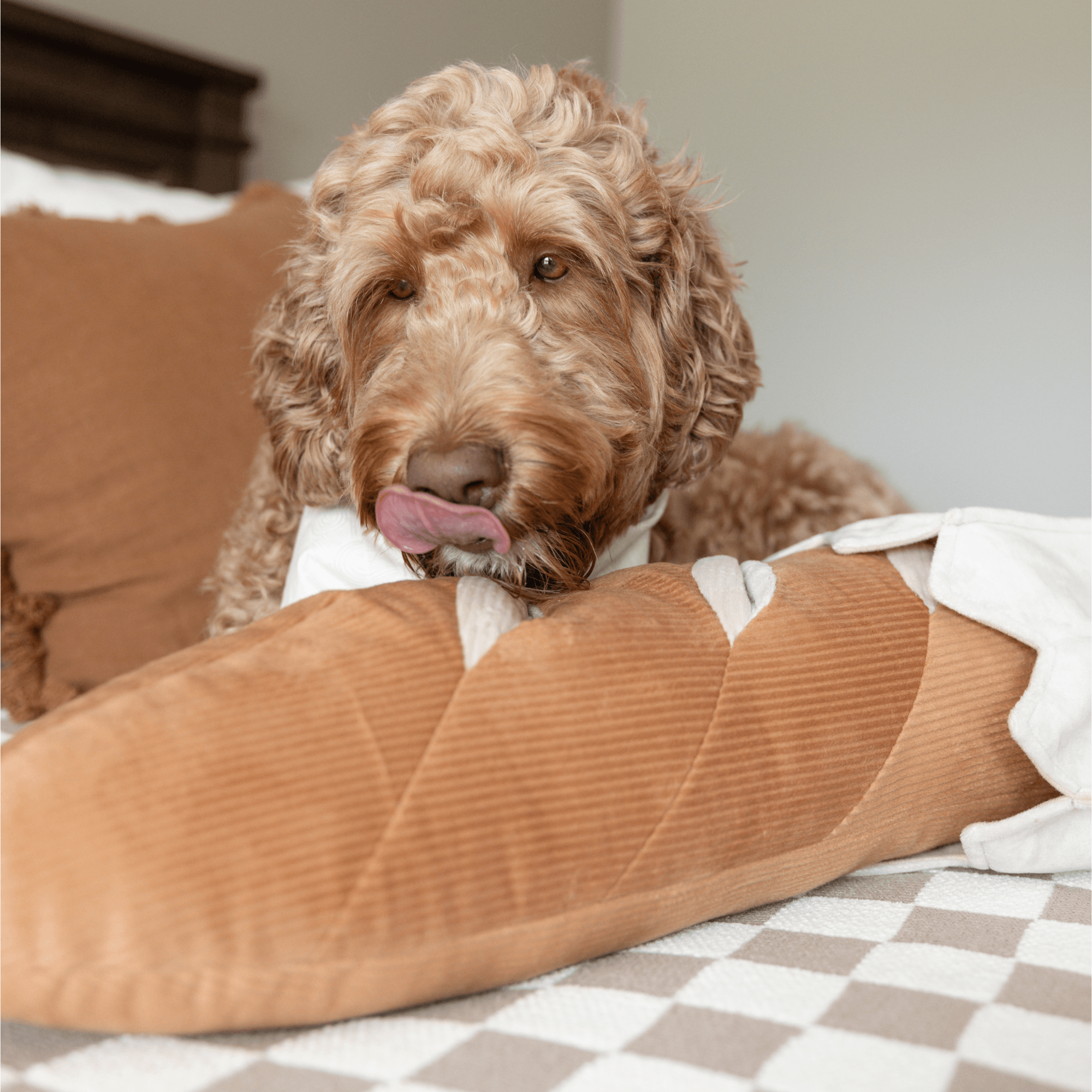 GIANT BAGUETTE//ENRICHMENT DOG TOY
