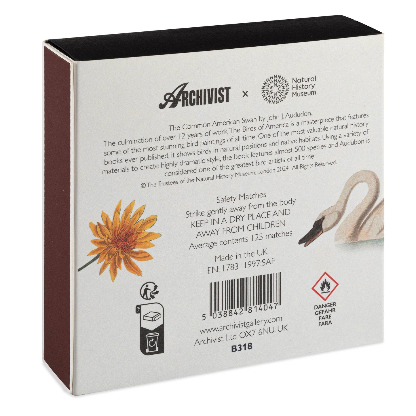 The Common American Swan  | Square - Safety Matches