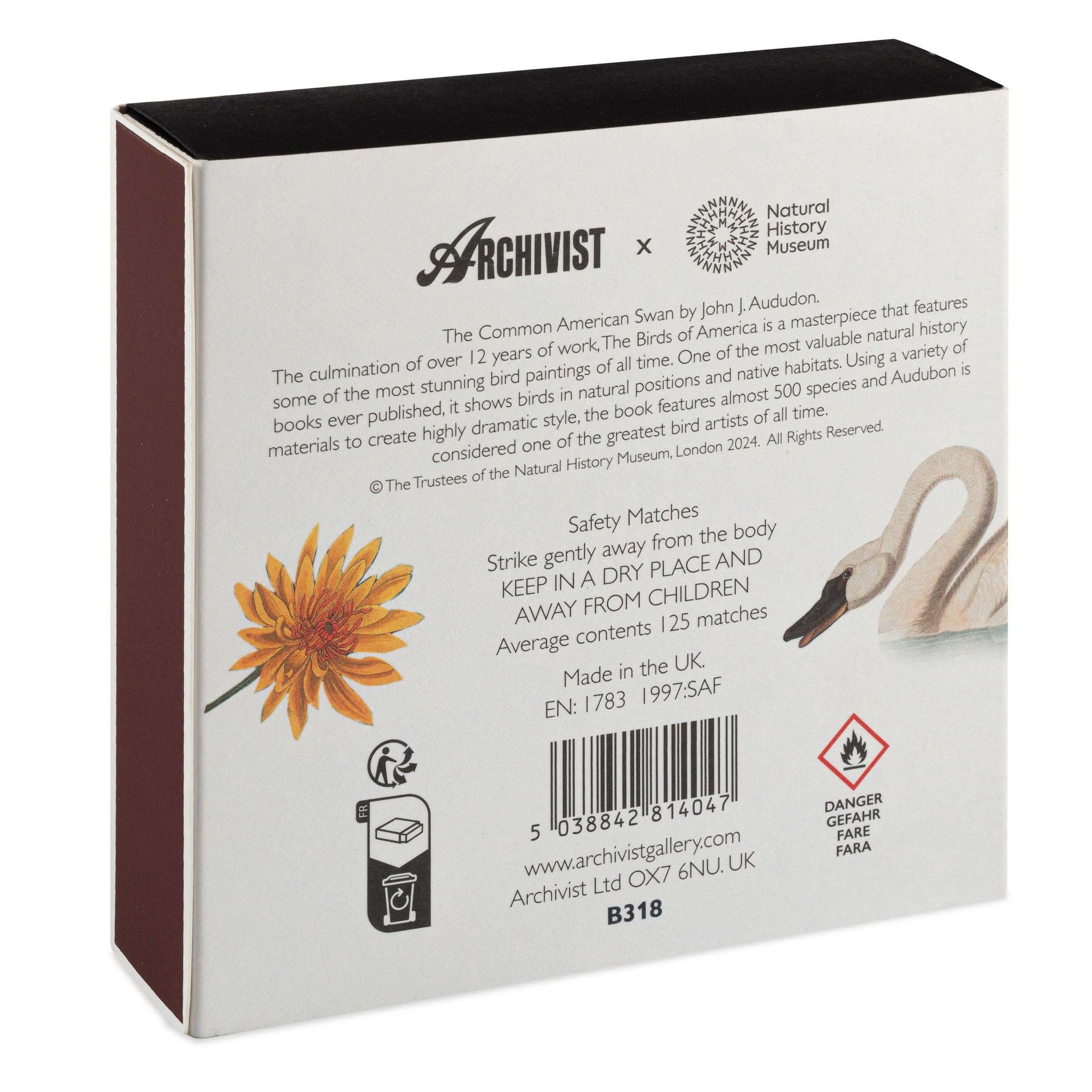 The Common American Swan  | Square - Safety Matches