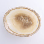 Mexican Onyx/Calcite Bowl 10"