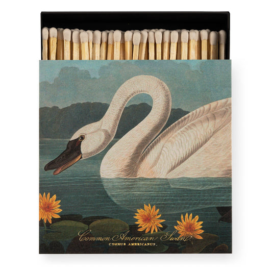 The Common American Swan  | Square - Safety Matches