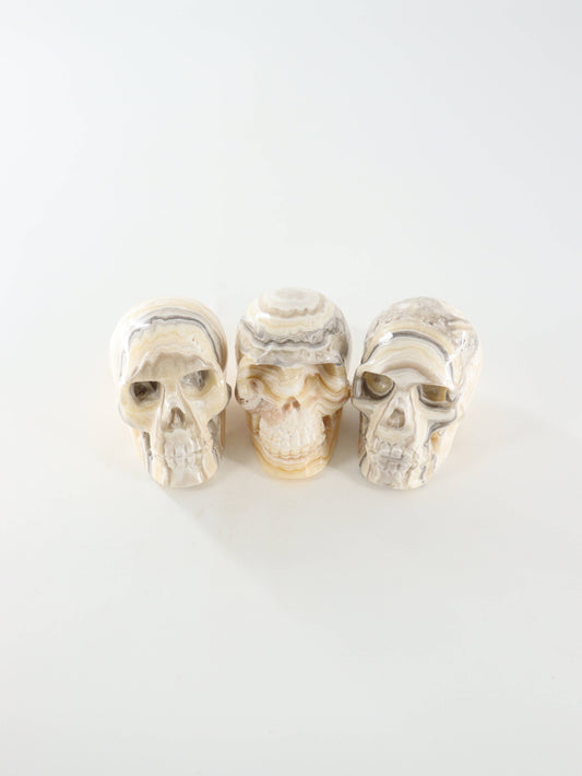 Onyx Skull -  by Carlyle Avenue